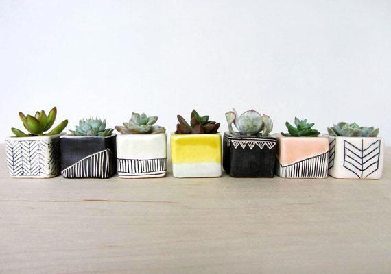 Plants and planters